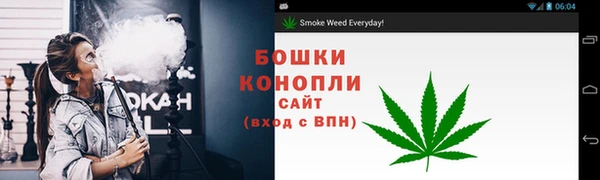 прущие грибы Наволоки