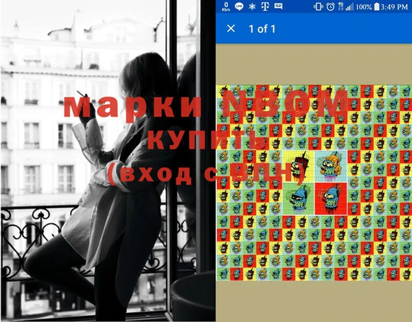 прущие грибы Наволоки