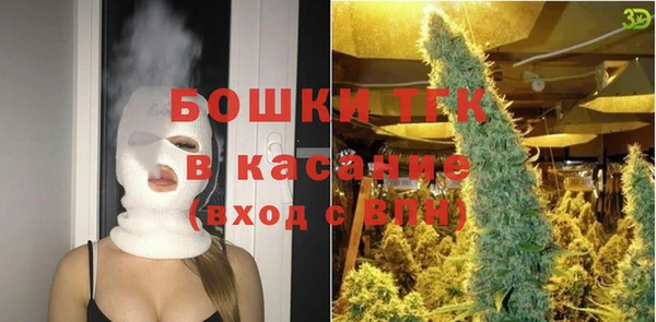 прущие грибы Наволоки