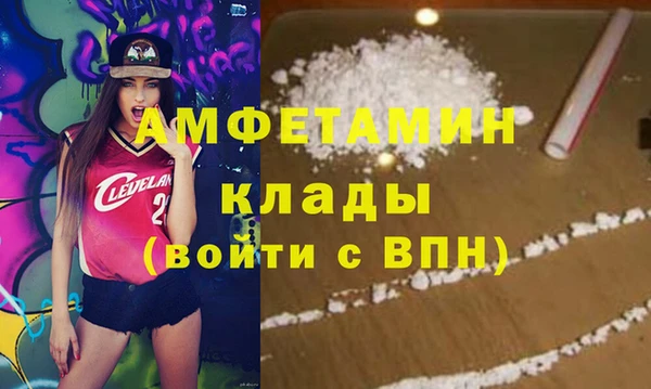 прущие грибы Наволоки