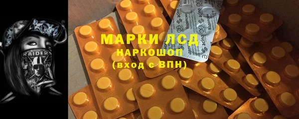 прущие грибы Наволоки