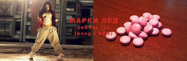 СК Надым