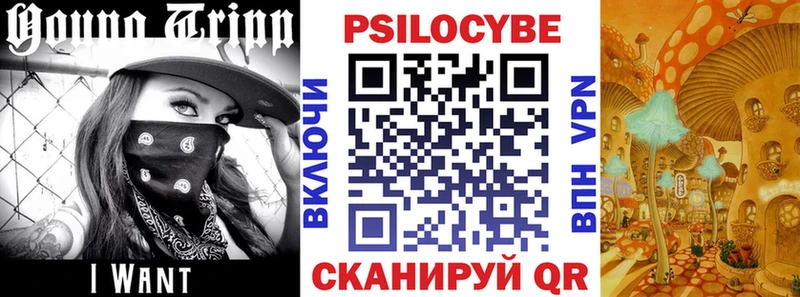 Галлюциногенные грибы GOLDEN TEACHER  магазин продажи наркотиков  MEGA ССЫЛКА  Великий Новгород 