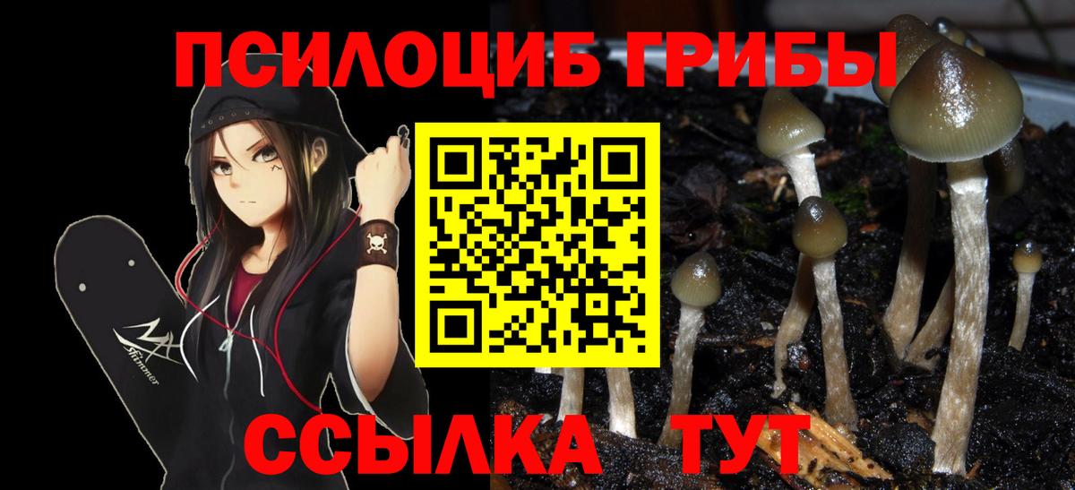 Псилоцибиновые грибы прущие грибы  Великий Новгород  Галлюциногенные грибы ЛСД 